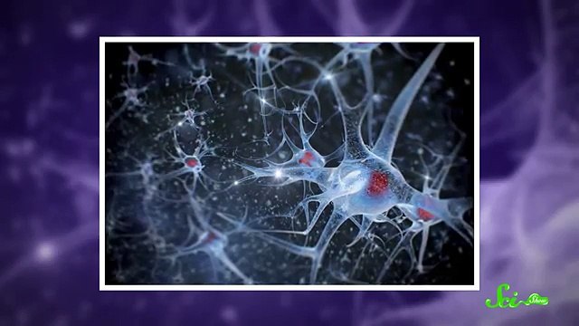 Does Thinking Hard Burn More Calories