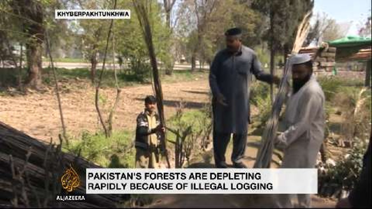 Pakistan investing $150m in billion-tree reforestation effort