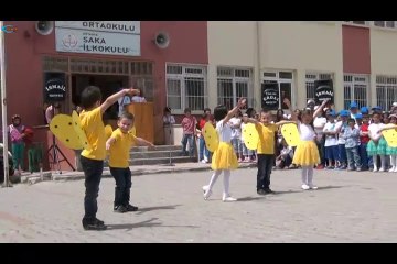 23 Nisan kutlamaları 2015 ( ARI )