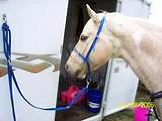 Scooter - You Raise Me Up by Josh Groban