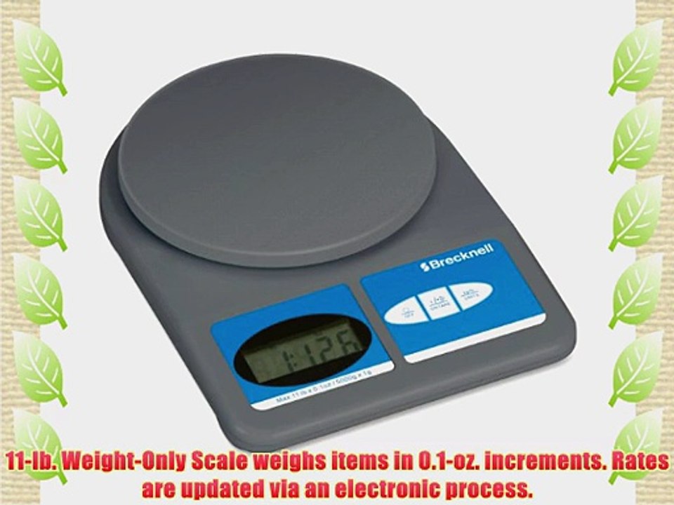 Salter Brecknell 311 11-lb.Weight-Only Scale 11-lb x 0.1 oz. capacity 5-3/4 dia. Platform