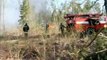 Ukraine : des feux de forêts ont ravagé des centaines d'hectares près de la centrale de Tchernobyl