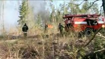 Ukraine : des feux de forêts ont ravagé des centaines d'hectares près de la centrale de Tchernobyl