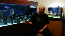 Lake Malawi Diving Trip - New Aquascape - T-Shirts - Tank Updates