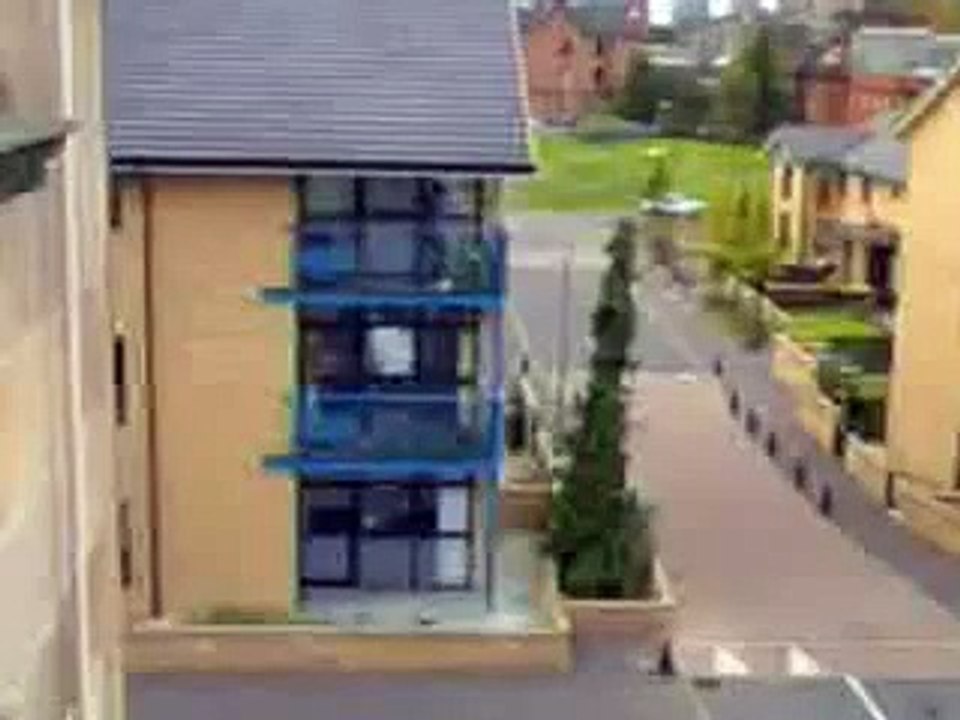 stupid video
