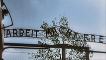 La découverte du camp d'Auschwitz - La Chute du Reich