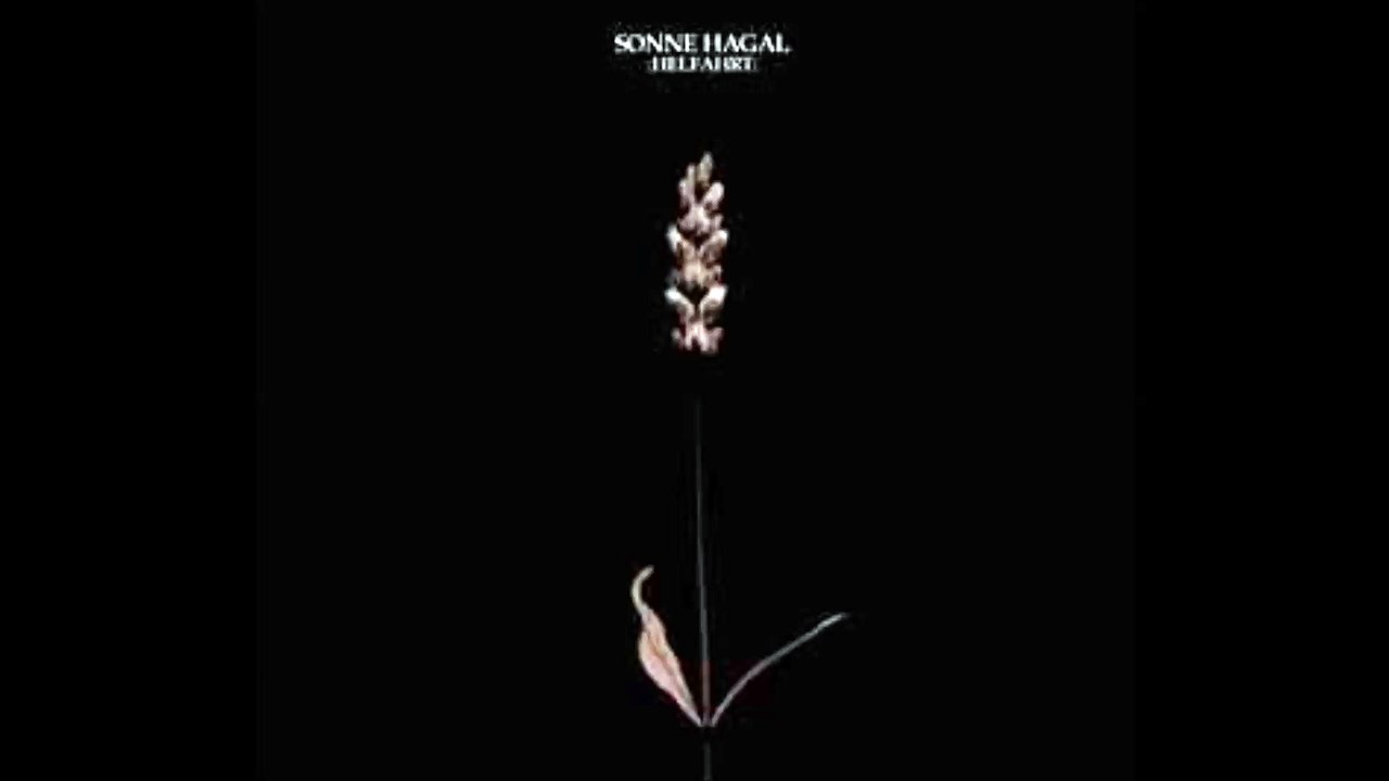 Sonne Hagal - Comrade Enemy