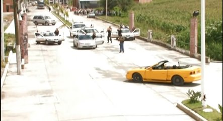 el basukazo el tigrillo palma.video oficial (HD)