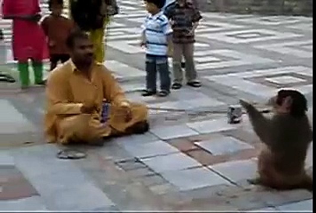 Pakistani Funny Clips