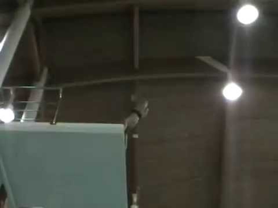 Peter Waterfield, Diving, Video Diary 5- Competition Dives