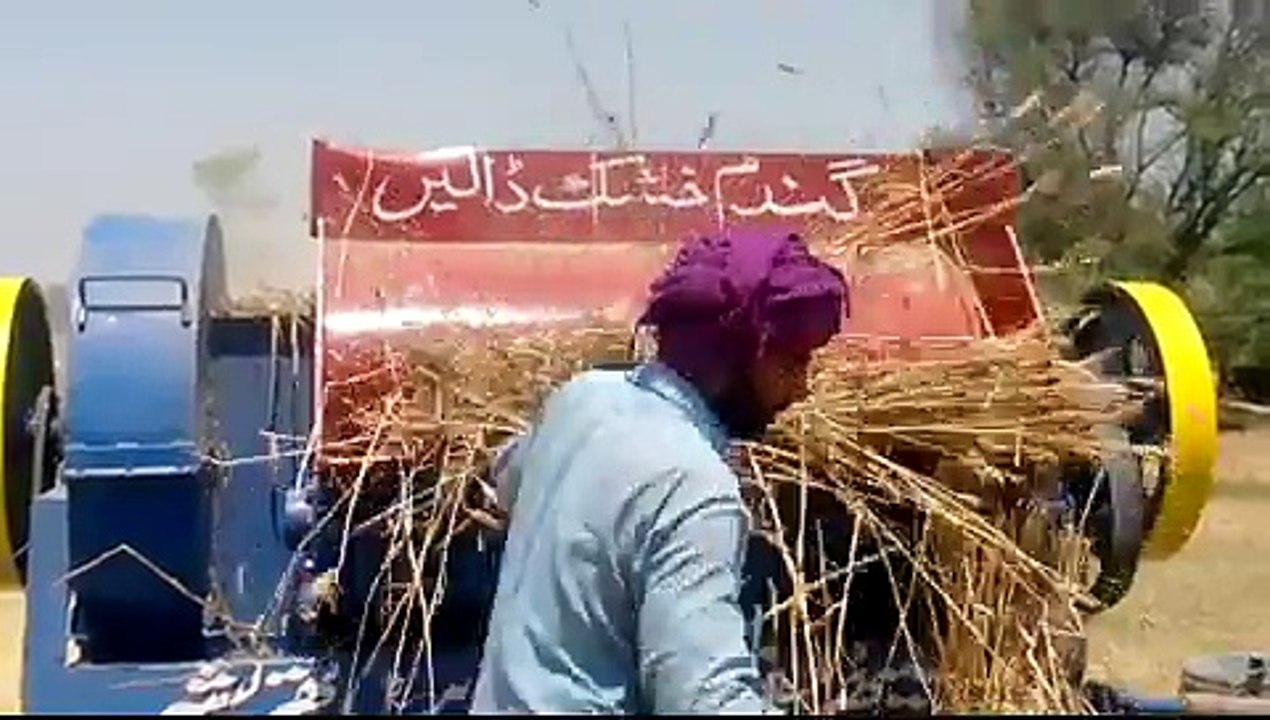 Punjab Gives The Final Wheat Processing