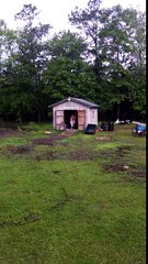 Pawpaw dancing with his baby