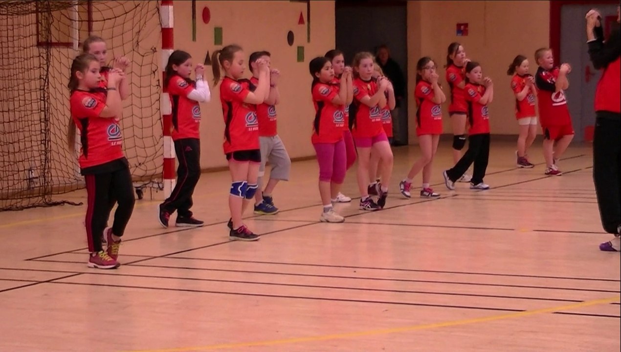 Plateau ecoles de hand mars 2015