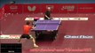 L'incroyable échauffement de Zhang Jike en tennis de table