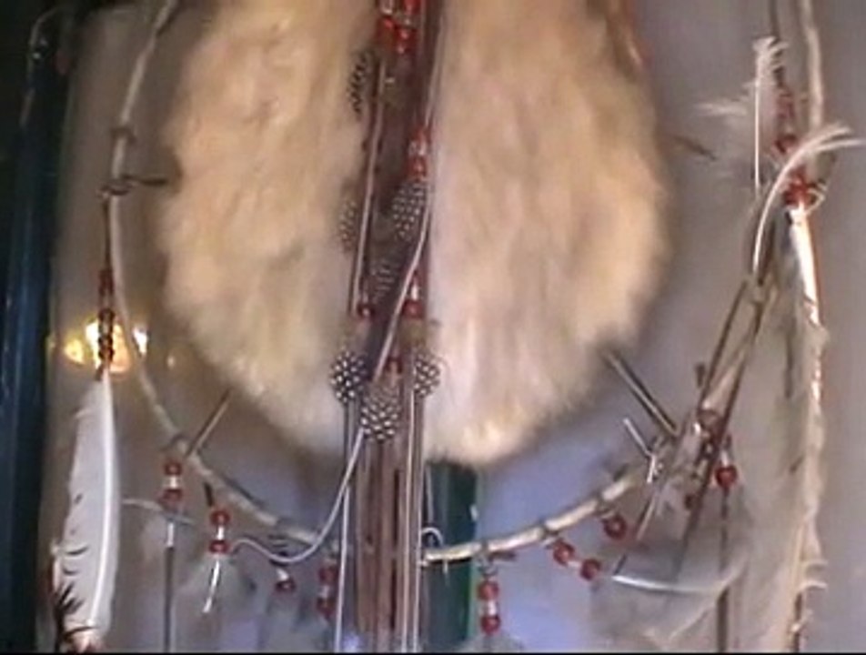 1er mai accueil tradition amédienne artcomesp donni buffalo dog ursula hanes marco bruna marcoartcomesp 13300