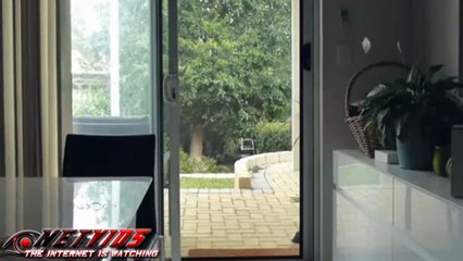 Mission Impossible Cat