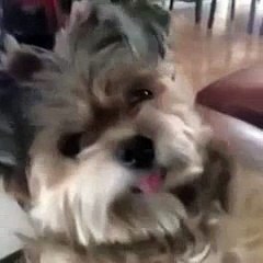 I knew you would wake up - Vine by Rejected Cartoons