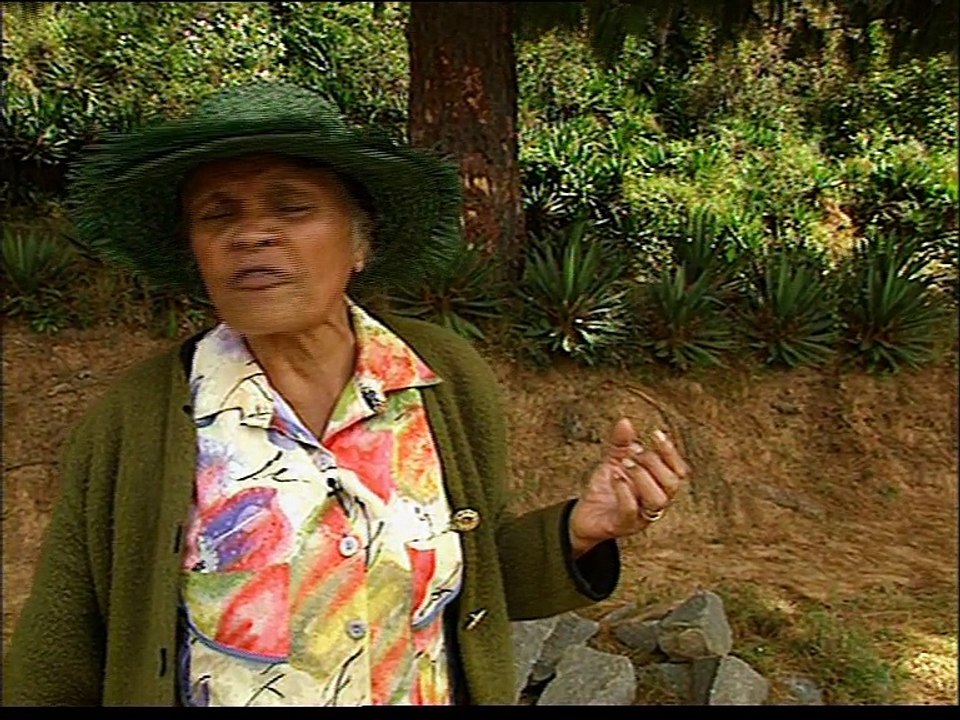 Stopper la déforestation à Madagascar