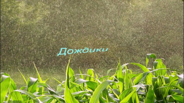 Романтика Дождя (Саксофон).