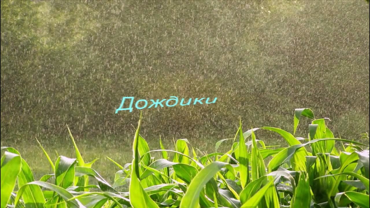 "Романтика Дождя"(Саксофон).