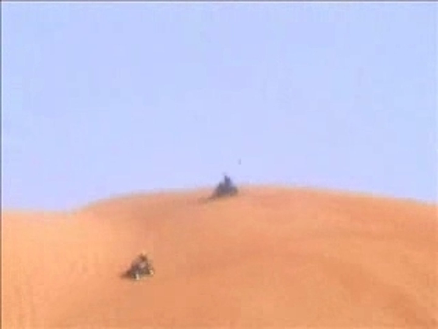 The race
