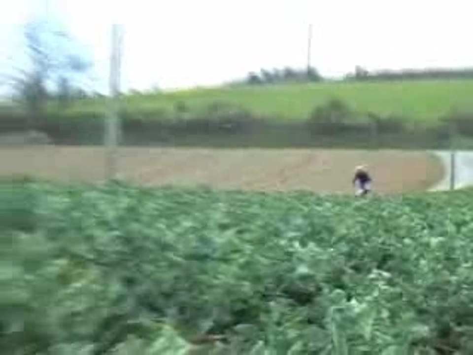 PIT bike 138 RSR contre 250 CR