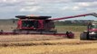 Harvest 2010: Case IH 9120 And Magnum 310 With Hawe Grain Cart