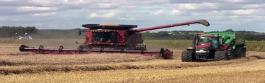 Harvest 2010: Case IH 9120 And Magnum 310 With Hawe Grain Cart