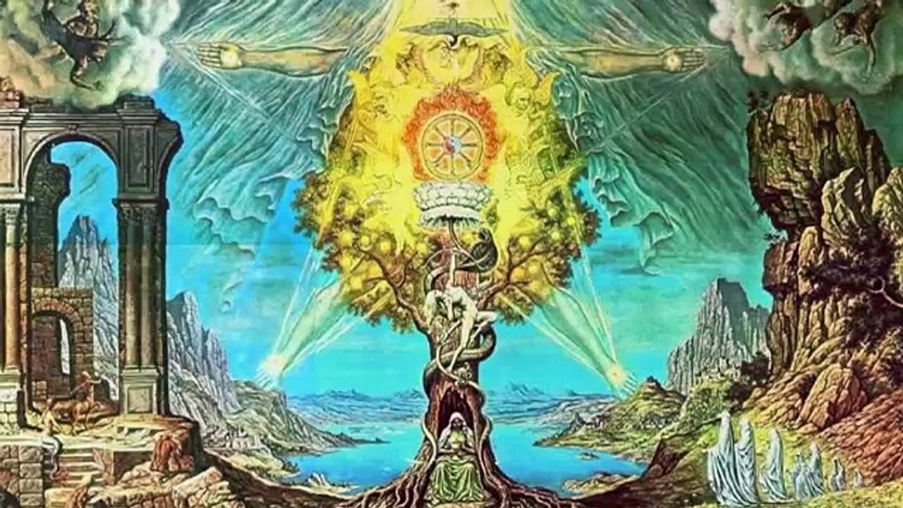 Terence McKenna ✧ A Funny Idea