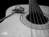 Guitarra clásica - Solamente una vez