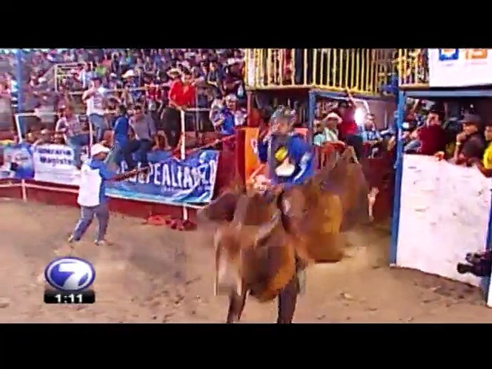 tn7-veranotoreado-060315