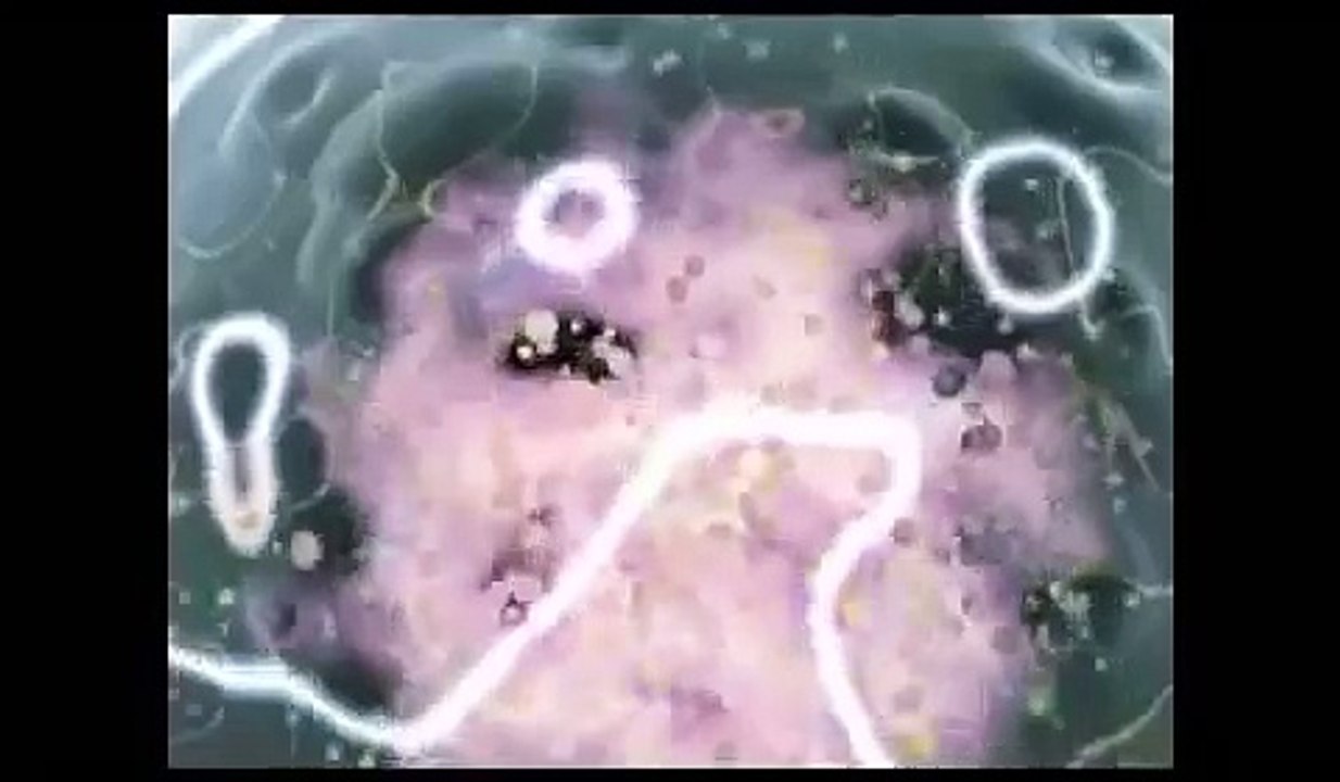 The Action of Cannabinoids in Cancer Cells-The SETH Group (SEE MORE ate cureyourowncancer.org