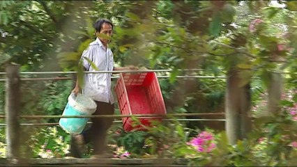 Sacs de luxe en peau de croco : l’envers du décor