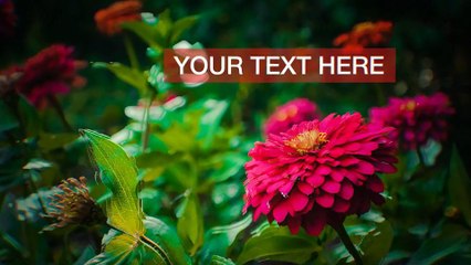 After Effects Project Files - 3D Split Slideshow - VideoHive 9491139