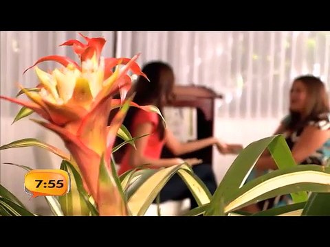 bd-tf-metiche-050315