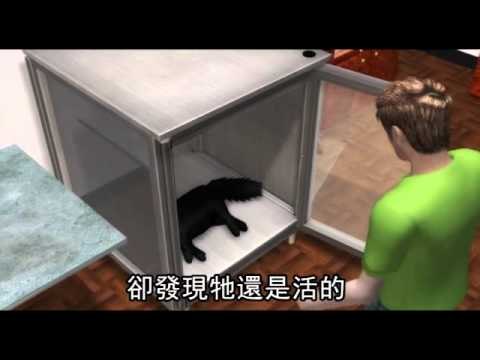 9命怪貓 2度關毒氣室沒死 2012.01.05