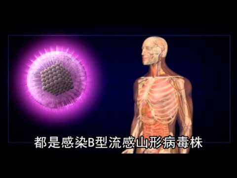 流感襲台11死 B型大流行 2011.12.30