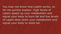 Leptin Resistance the shocking truth.