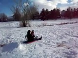 BEST Pugs-on-sleds Compilation: pugs on sleds!