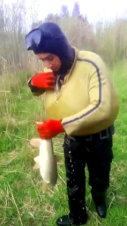 The Amazing Fish Story