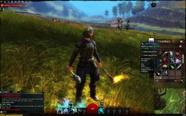 Guild Wars 2 Guardian Gameplay 3_clip13