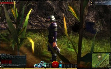 Guild Wars 2 Guardian Gameplay 3_clip6