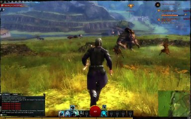 Guild Wars 2 Guardian Gameplay 3_clip7