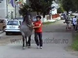 Stupid Guy Gets Kicked by Horse