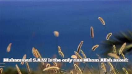 How Angel of Death took Muhammad (SAW)'s Soul -- Tariq Jameel