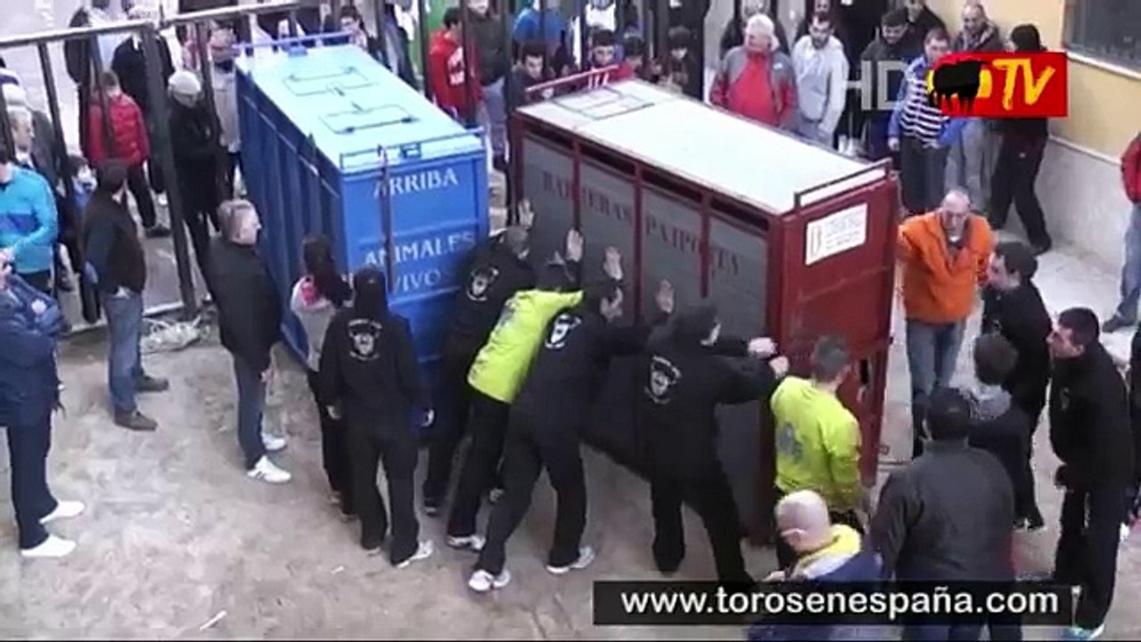 Un Taureau s'Echappe de sa Cage et Seme la Terreur dans le Village