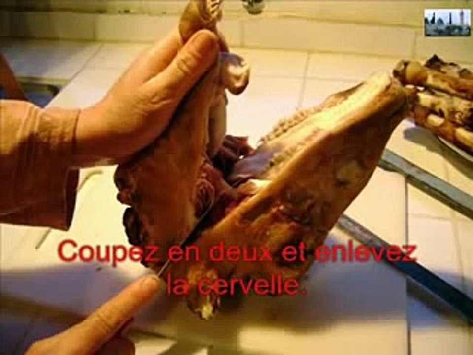 BOUZELLOUF طبخ رأس غنم