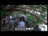 NMA 2010.01.05 動新聞 高雄壽山 餵波爾羊 探獼猴樂園