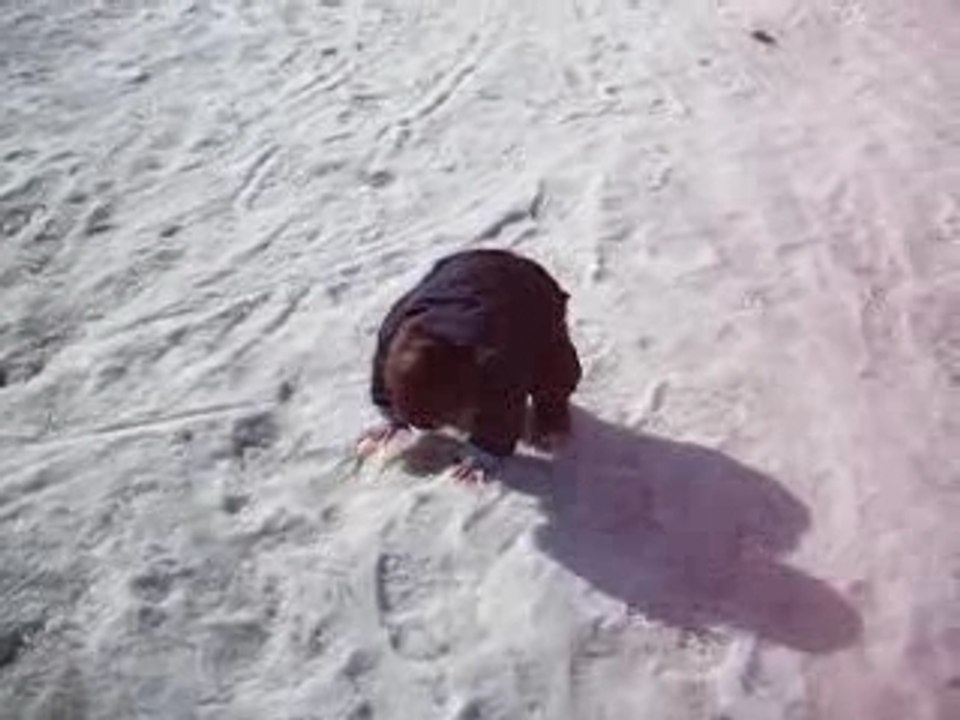 Guillaume17mois Ski1