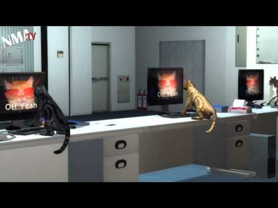 LOL貓說:給我三千萬嗎? Cheezburgers all round az lolcats netz US$30 million